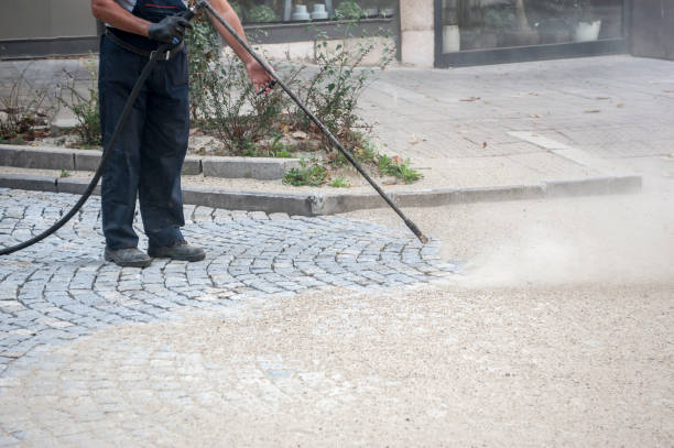 Best Roof Cleaning and Mildew Removal in Dilley, TX